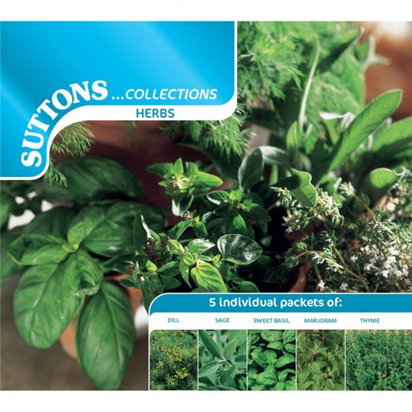 Herb Collection Waterperry Gardens Oxfordshire Garden Centre, Buy